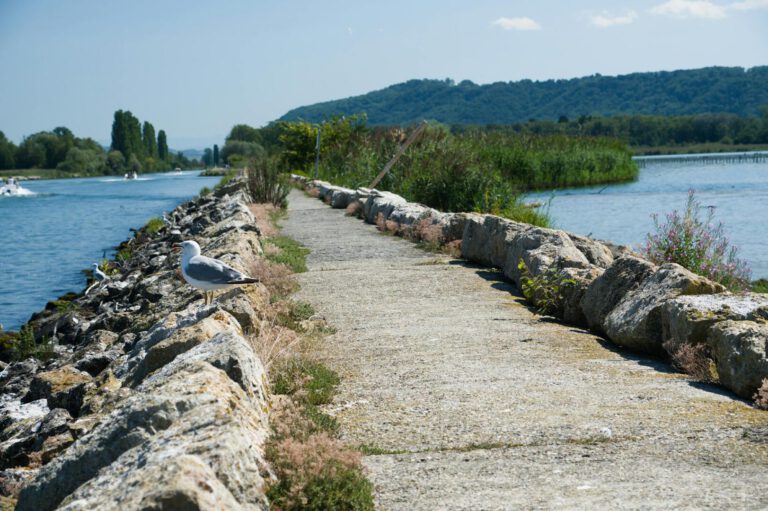 Führung beginnt mit einer einfachen Frage